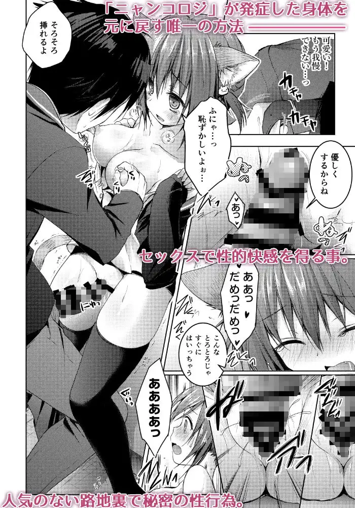 ニャンコロジ総集編【電子版】 - サンプル3