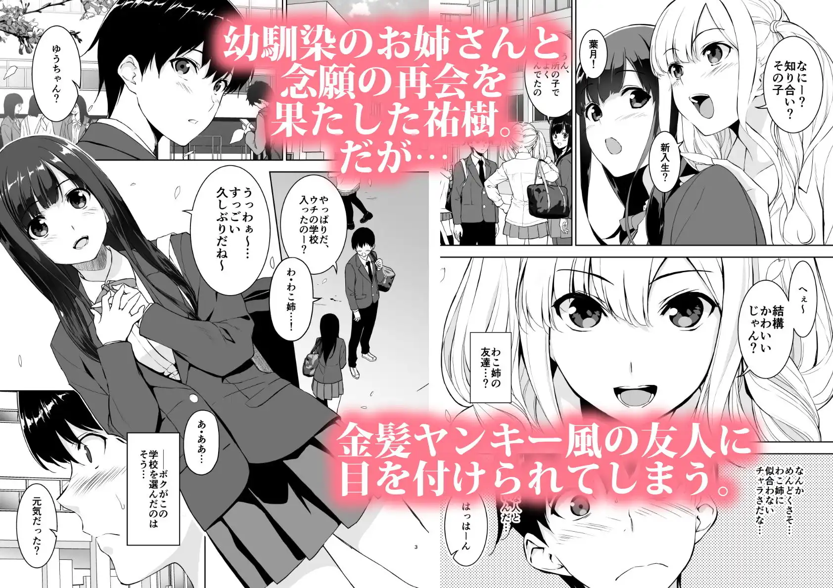 清楚な姉が好きなのに、ビッチとセックスしてる俺 - サンプル1