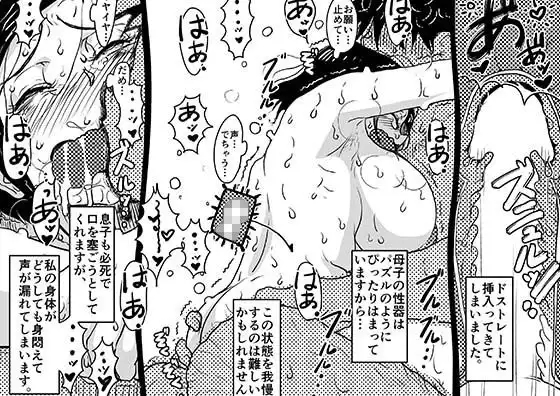 ヤリたい盛りの息子と多淫症のお母さんとの性生活の日常の話。 - サンプル9
