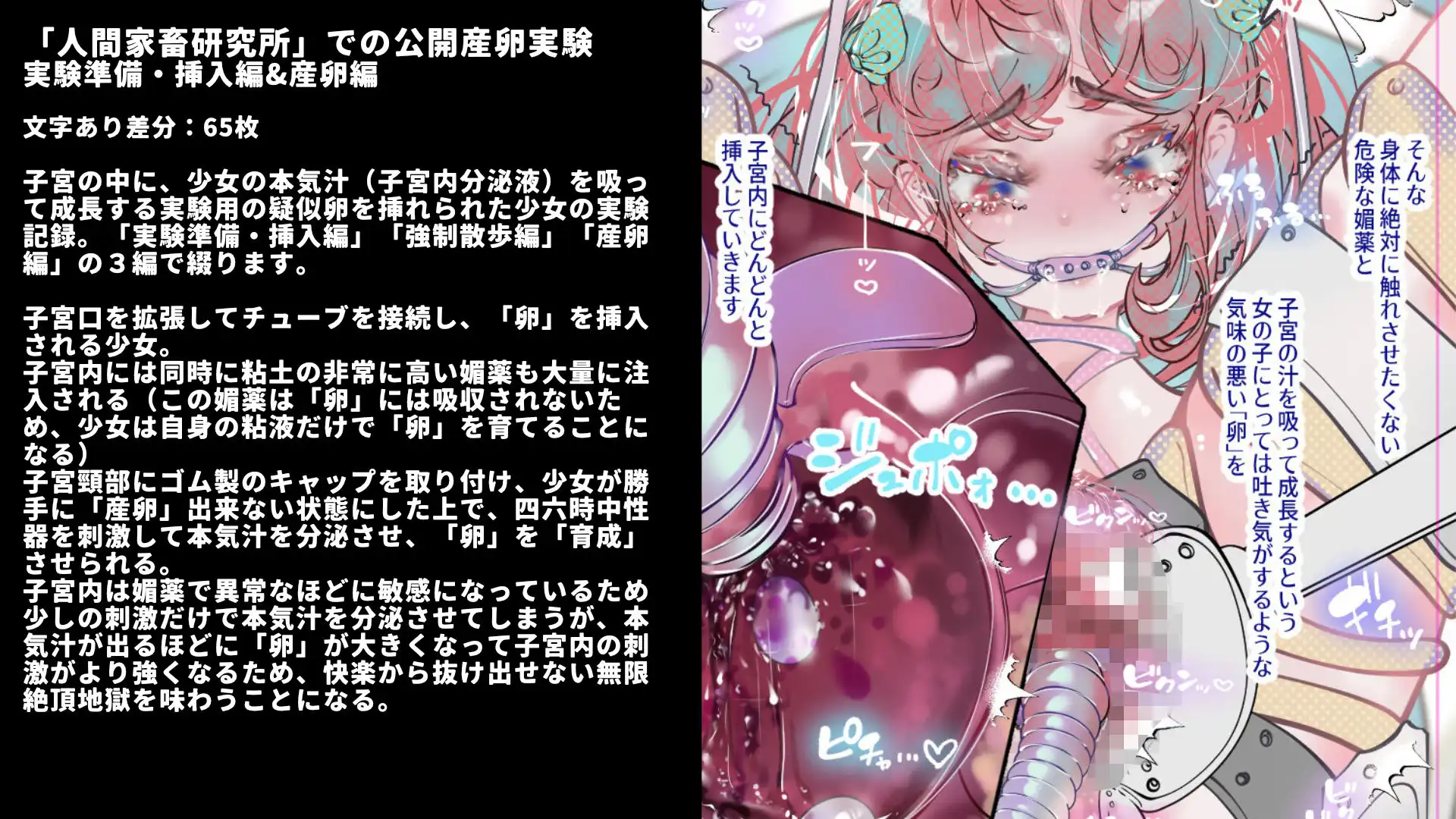 少女誘拐実験vol.26〜30 公開産卵実験・子宮チューブ媚薬注入・逆さ吊り拘束強●絶頂など5作品 - サンプル3