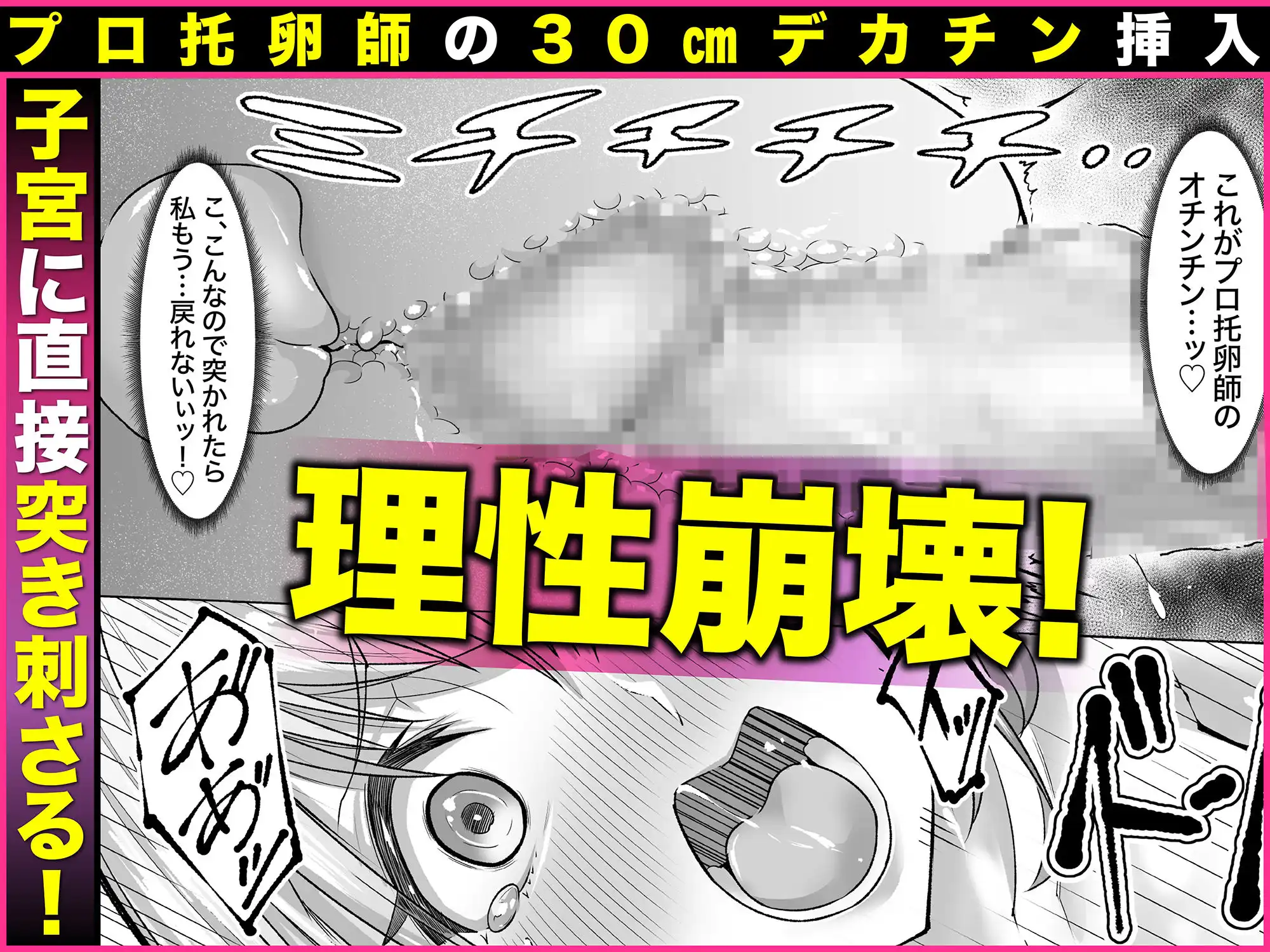 妊娠懇願寝取られ托卵妻〜30cm巨根托卵師に孕まされた変態人妻ミカ〜 - サンプル5