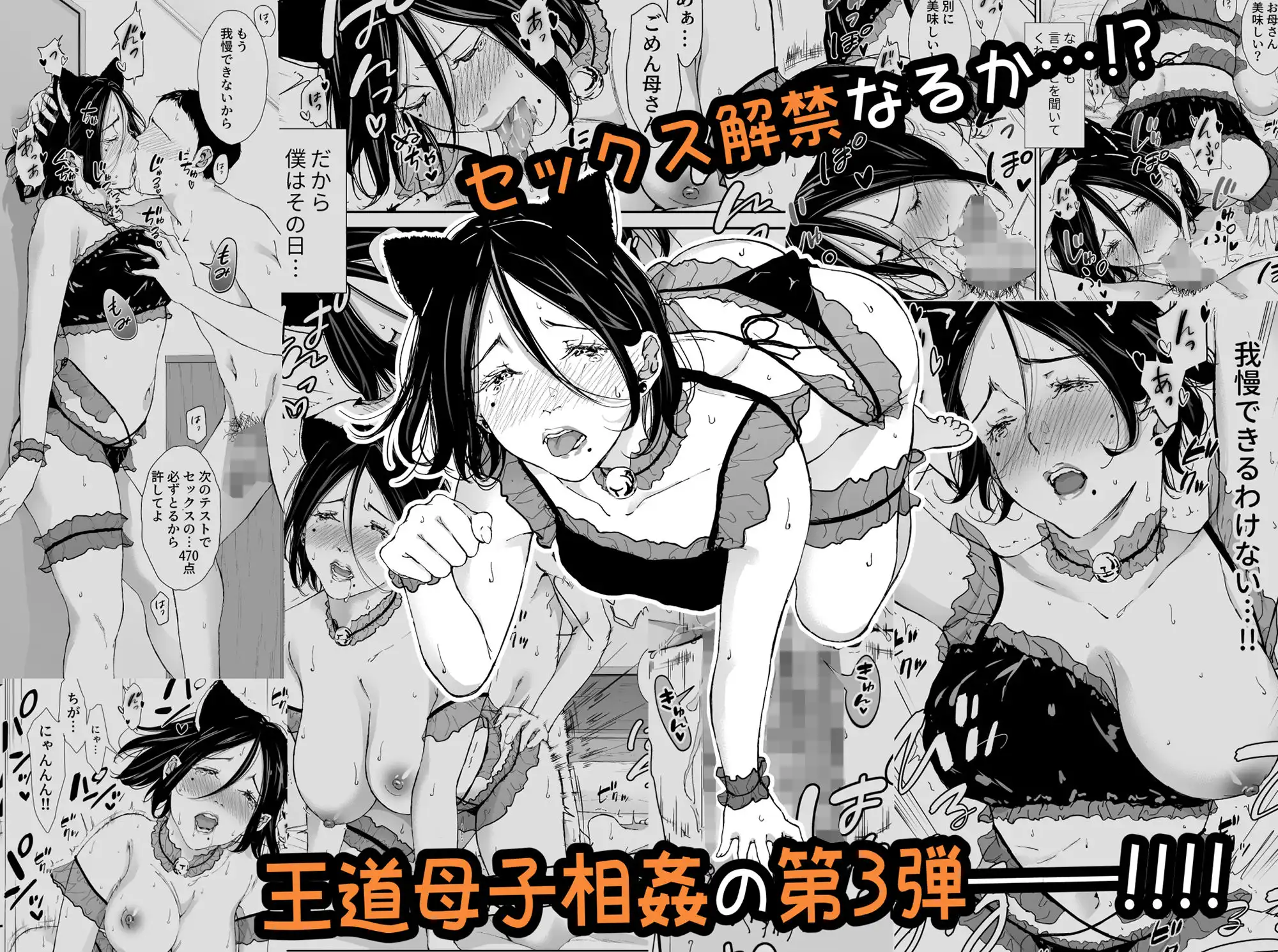僕の大好きな母さんと思う存分セックスできる日 3 - サンプル5