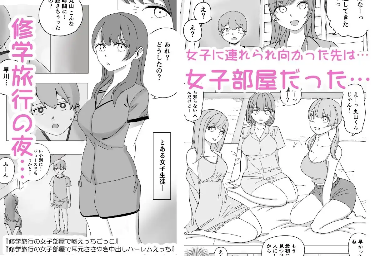 【総集編】ハーレムえっち修学旅行 - サンプル1
