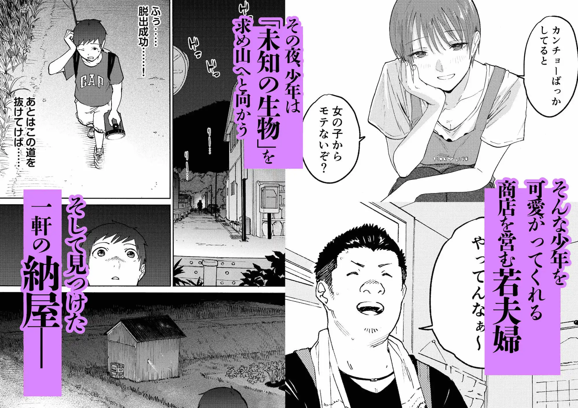 あの納屋 〜ぼくが見たことないおばさんの夜の姿〜 - サンプル2