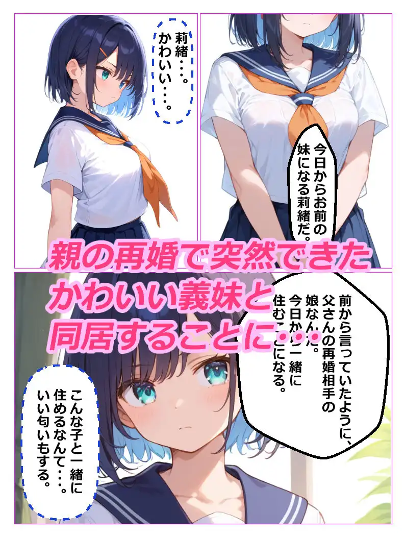 義妹盗〇 親の再婚で義理の妹ができたが超絶に生意気で態度が悪かったので妹を家庭内〇撮しそれをネタにセックスした話 - サンプル1