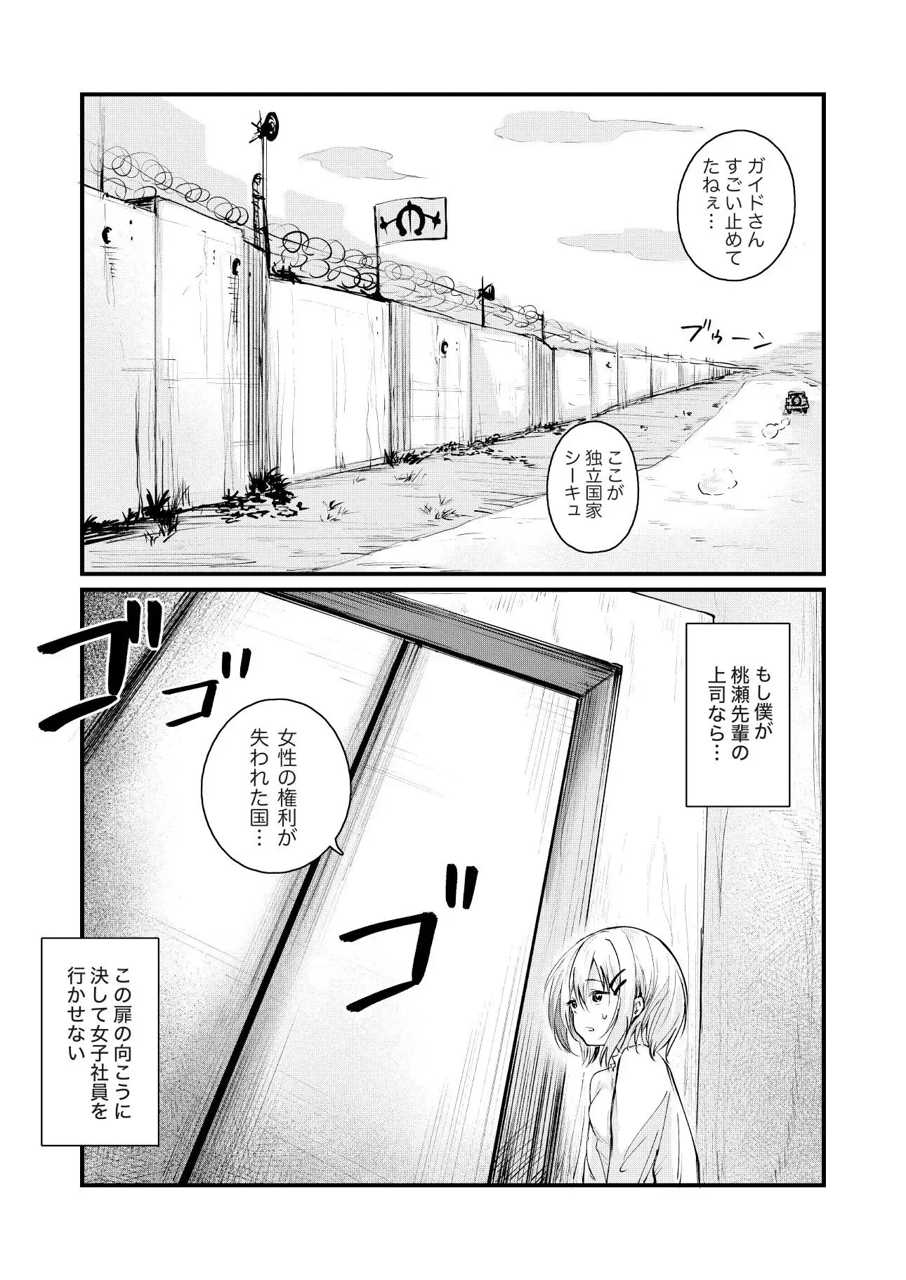 女性の権利が失われた国 - サンプル3