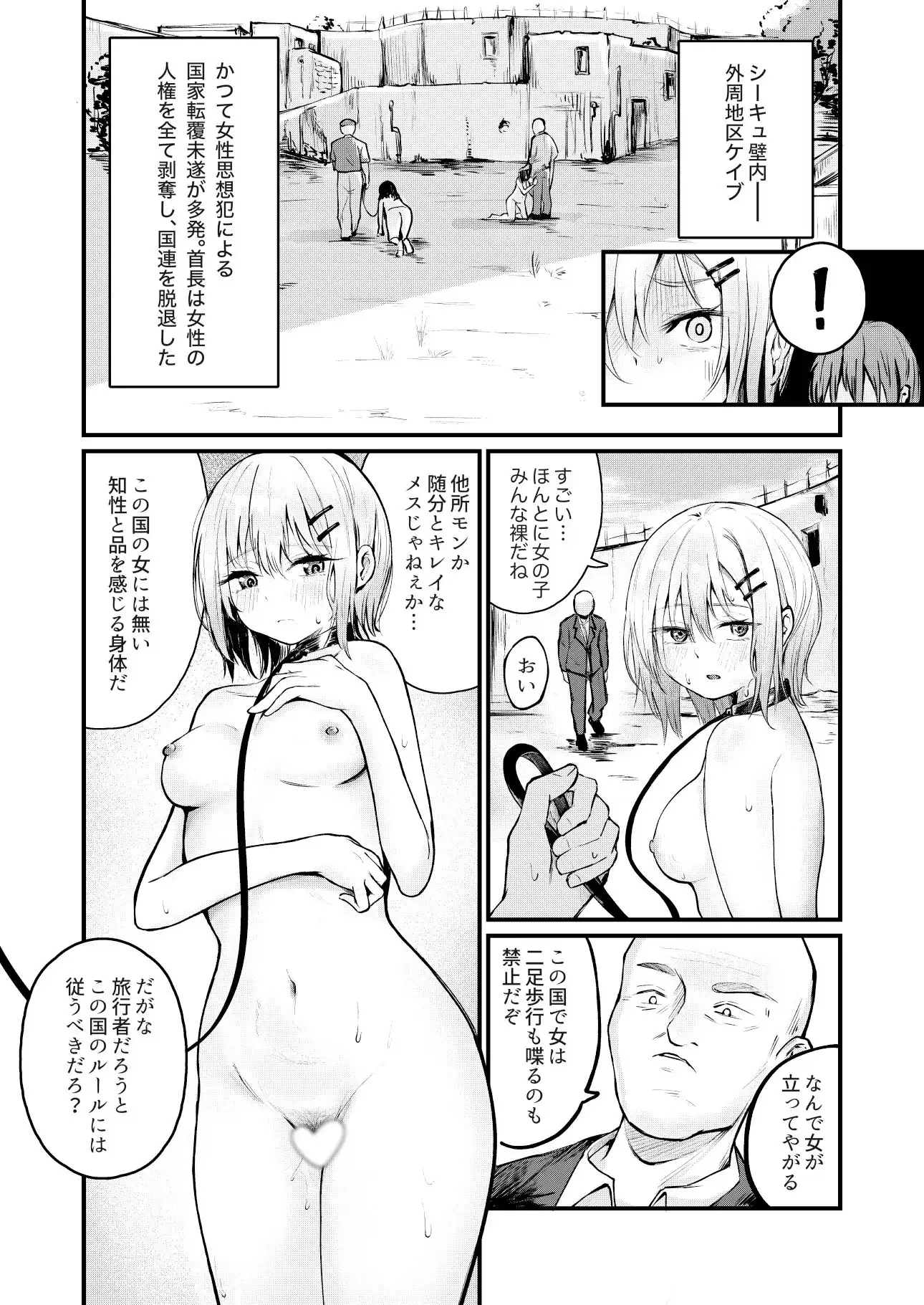 女性の権利が失われた国 - サンプル8