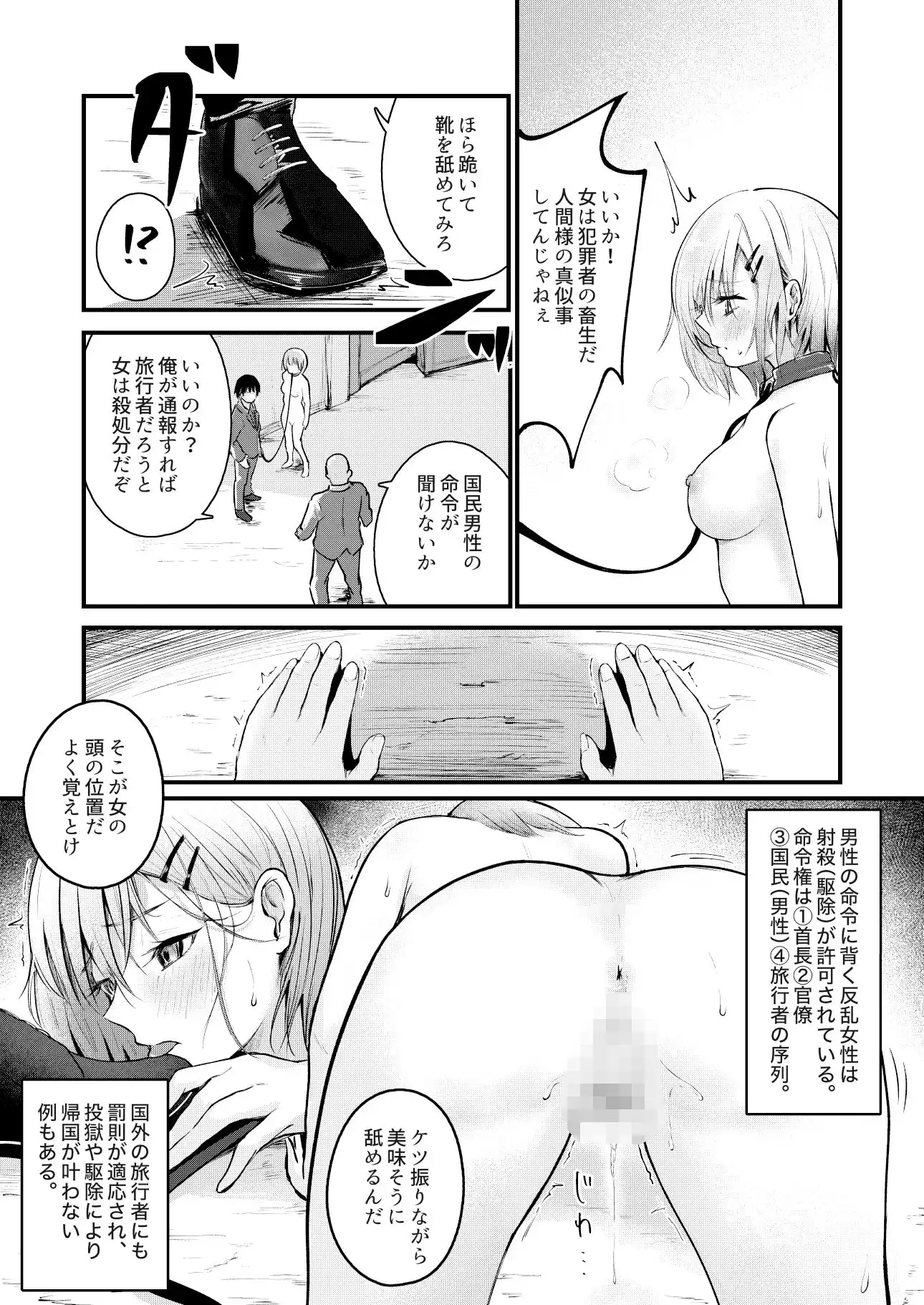 女性の権利が失われた国 - サンプル9