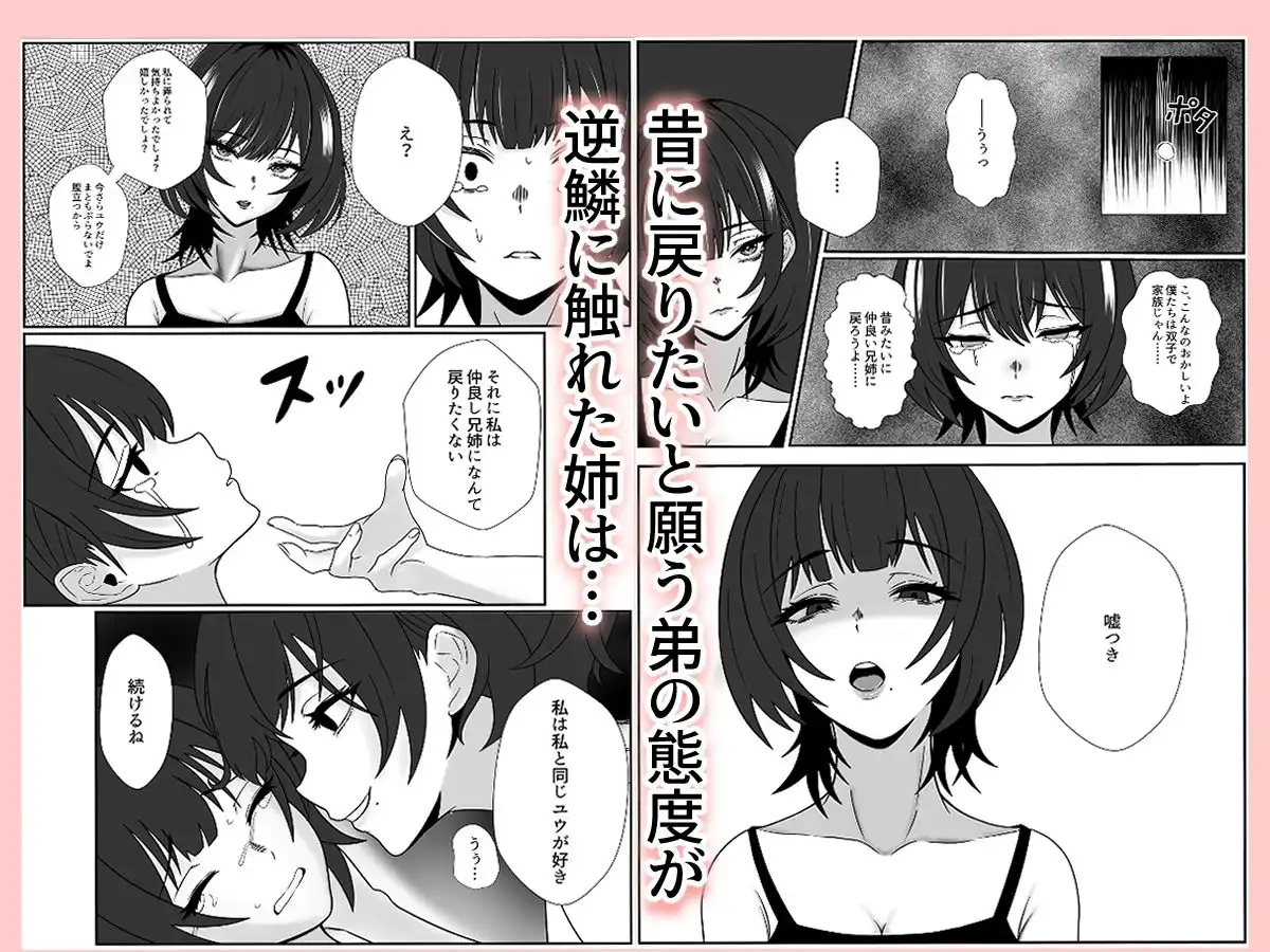 双子の異常な愛情〜双子の姉が弟を女装させてローションガーゼで気絶するまで精液と潮を搾り尽くす話〜 - サンプル3