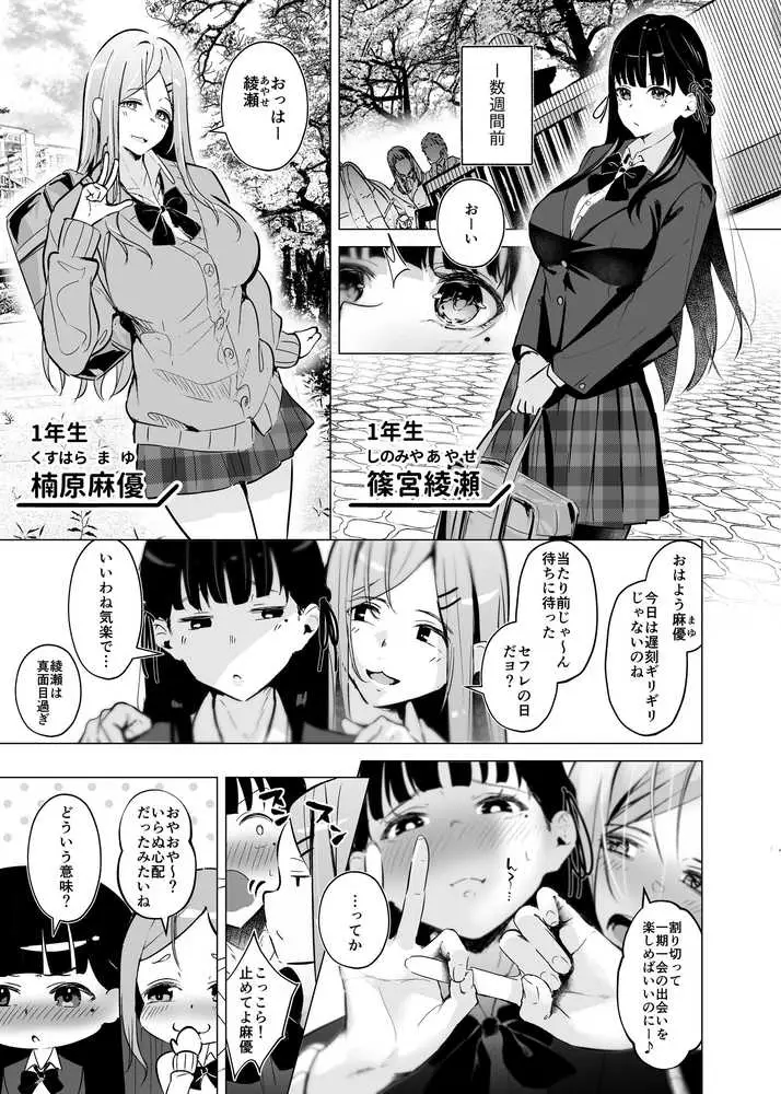 少子化対策で巨乳JKはセフレが必修科目です♪ - ページ04