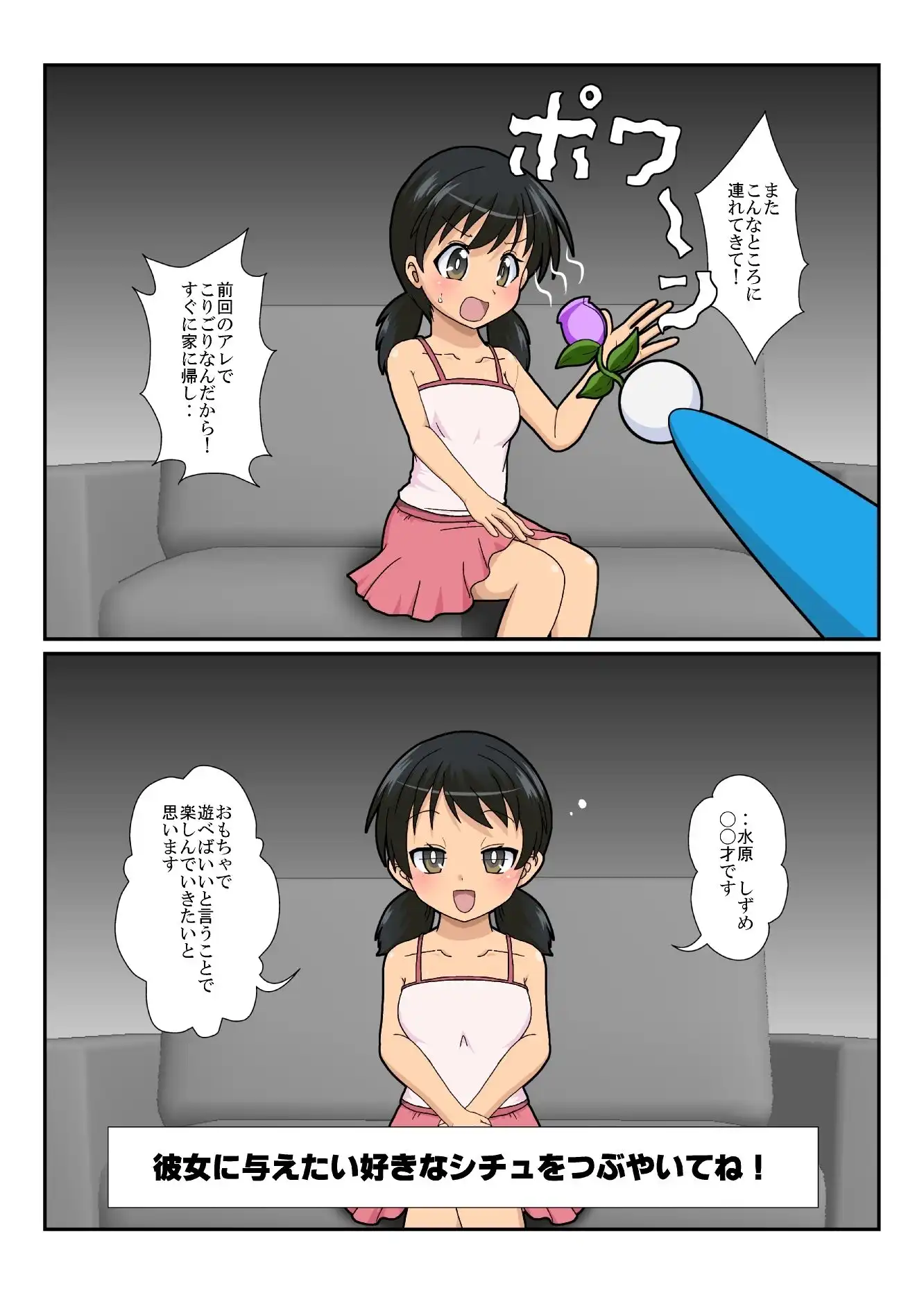 不思議なおもちゃで特殊性癖カタログ2 - サンプル1