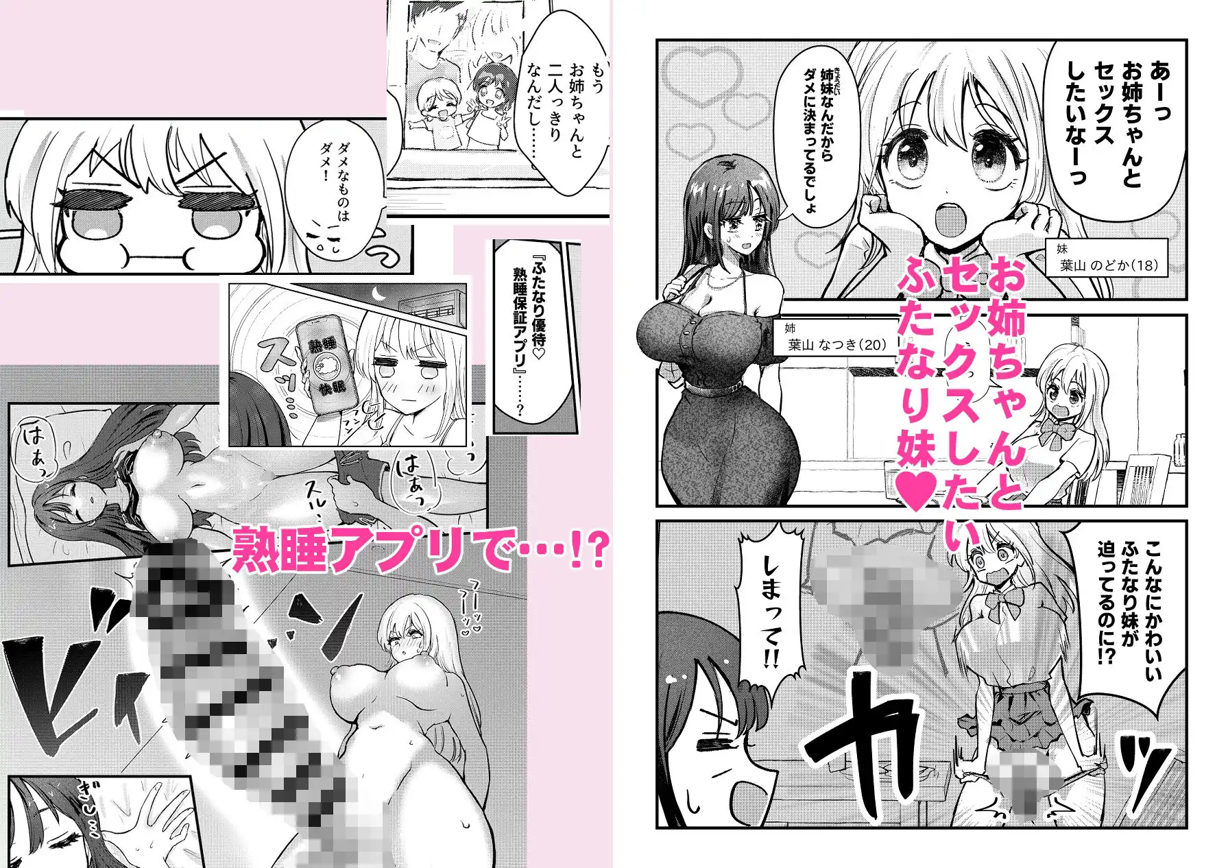 ふたなり妹が大好きなお姉ちゃんを睡眠姦する話 - サンプル1