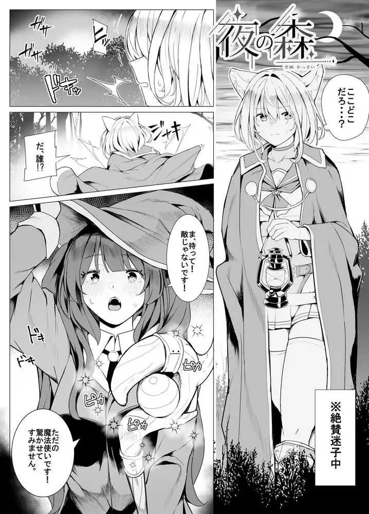 白狼剣士ハティちゃんのえっちな冒険の書 - ページ40