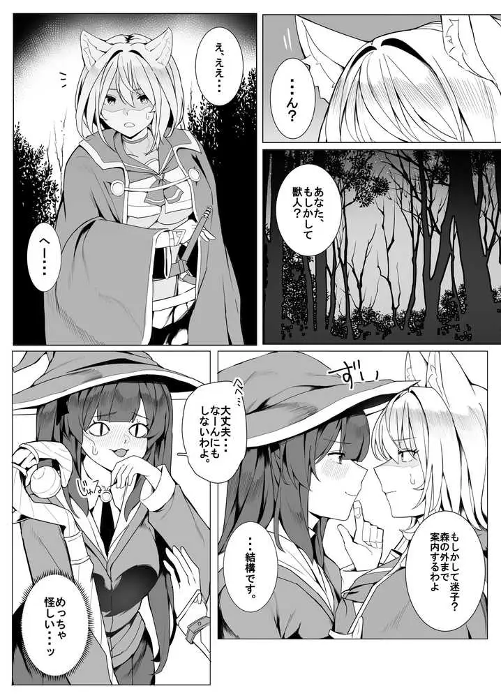 白狼剣士ハティちゃんのえっちな冒険の書 - ページ41