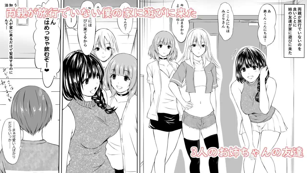 お姉ちゃんの友達が酔っ払って倒れていたから勝手に挿入してみた話 - サンプル1