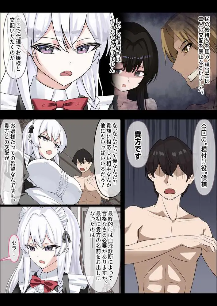お嬢様の種付役にされた俺は、名家の令嬢を孕ませるほど種付け中出しをしてしまった…1 - ページ13