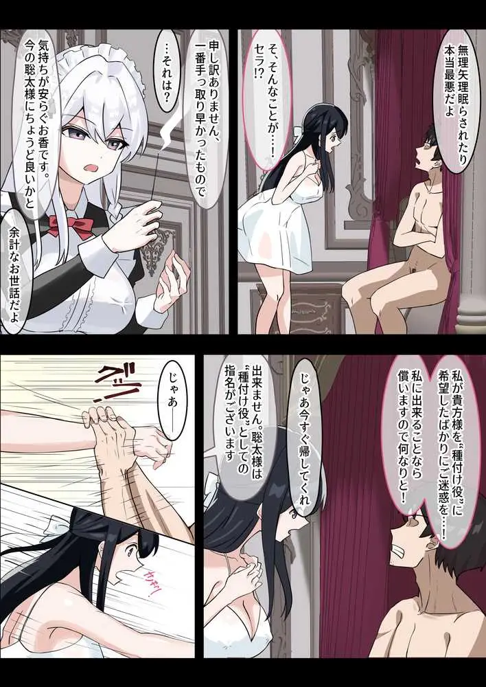 お嬢様の種付役にされた俺は、名家の令嬢を孕ませるほど種付け中出しをしてしまった…1 - ページ20