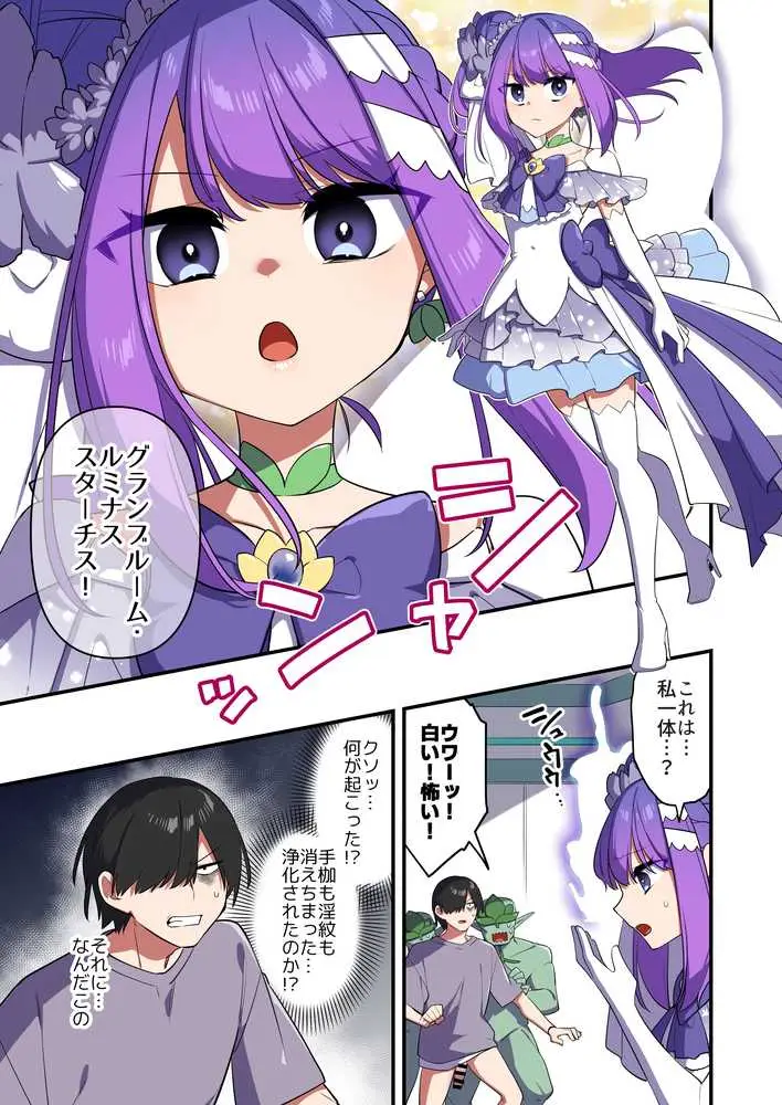 悪の手先になったので。〜魔法少女を凌●します〜3前編 - ページ17