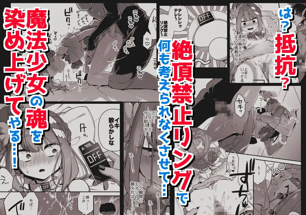 悪の手先になったので。〜魔法少女を凌●します〜3前編 - サンプル4