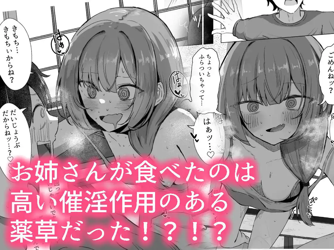 山菜テンプテーション 〜薬草で発情したちょっぴりMのお姉さんが止まってくれない。〜 - サンプル3