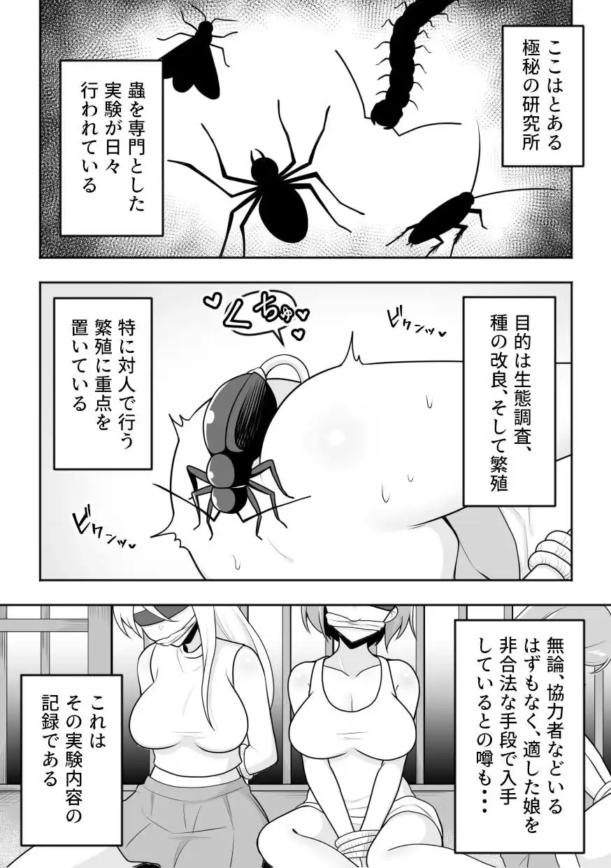 昆蟲研究所4 - サンプル1