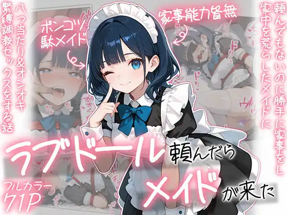 ラブドール頼んだら、メイドが来た