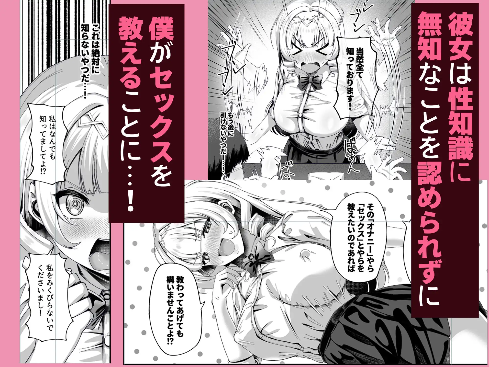 性知識にだけ無知すぎるお嬢様