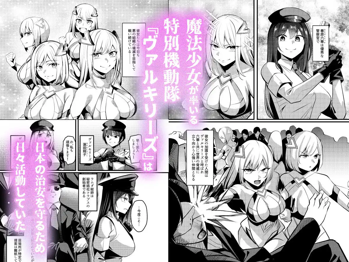 魔法少女セイントリリィ・戦乙女 〜敵組織に洗脳調教された魔法少女が性処理戦闘員に堕ちるまで〜 - サンプル1
