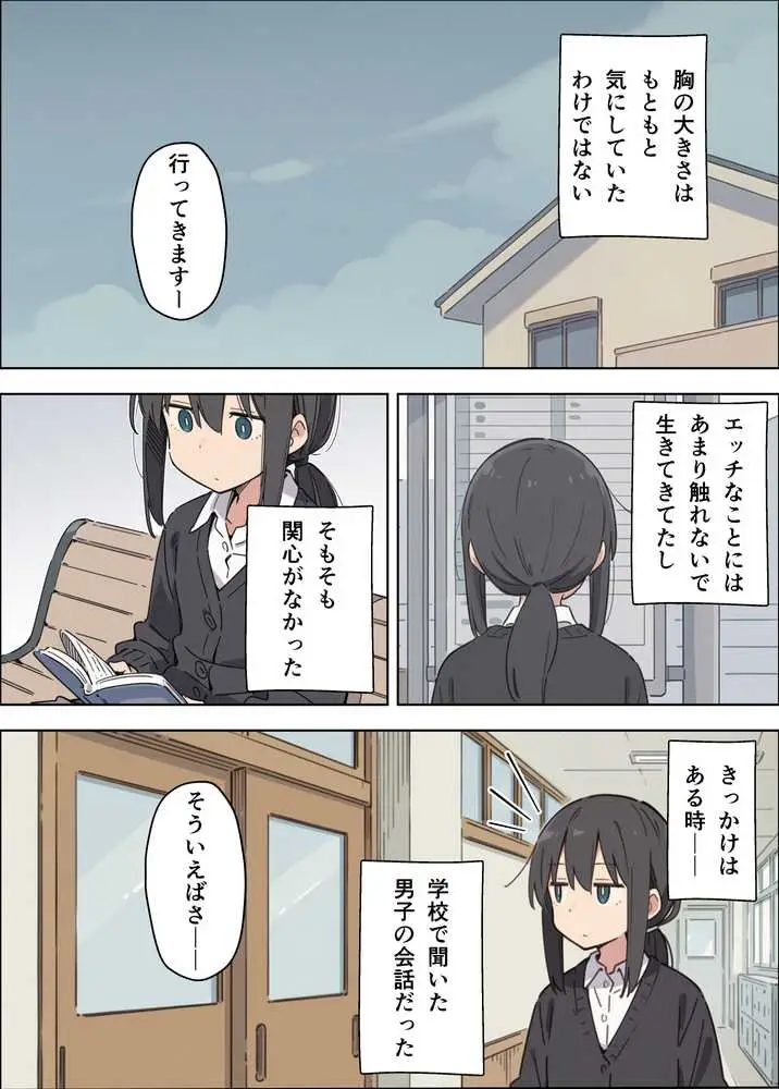 貧乳コンプレックスなジト目姉の育乳を手伝ったが大きくならないので中出しセックスすることになった話 - ページ03