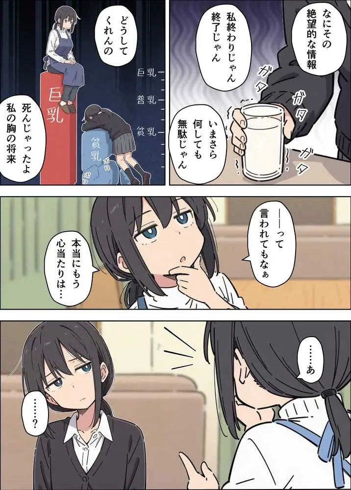 貧乳コンプレックスなジト目姉の育乳を手伝ったが大きくならないので中出しセックスすることになった話 - ページ19