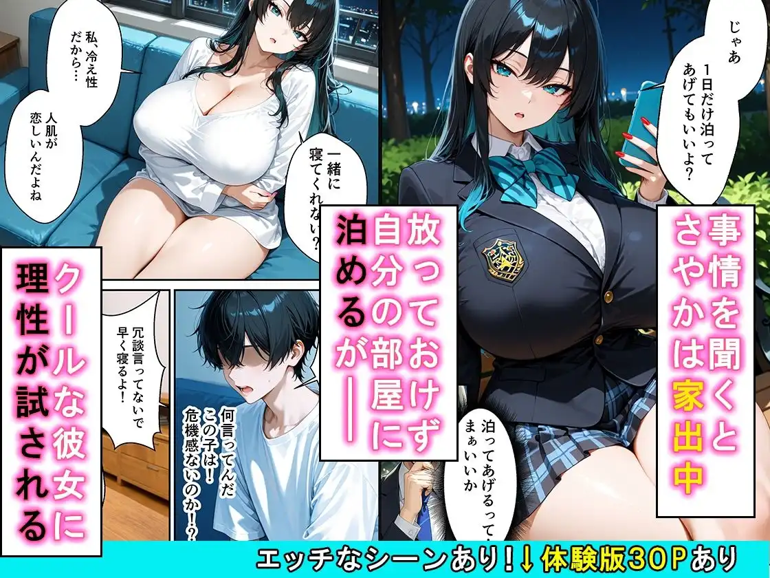 家出したクールなギャルを拾ったらベタ惚れされてイチャラブセックスした話 - サンプル2