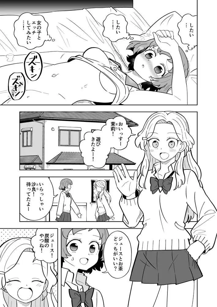 ふたなりアタッチメントで親友とエッチする - ページ10