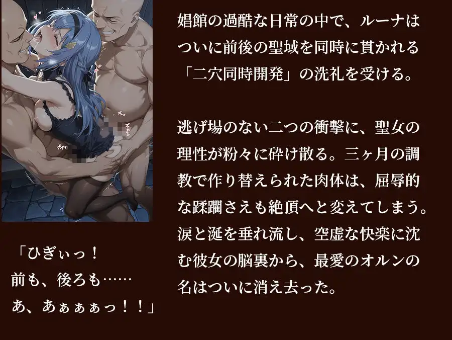 【器用貧乏】ルーナ 【498枚+1mp4】裏切りのパーティ管理 〜「いなくなったアイツの代わりに、俺たちがたっぷり可愛がってやるよ」〜 - サンプル9