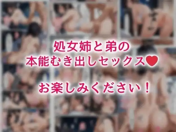 彼氏が出来た処女姉とHの練習をしたら俺のチンポにメス堕ちしたので中出しセックスした話 - サンプル10