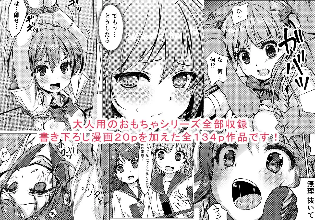大人用のおもちゃ総集編
