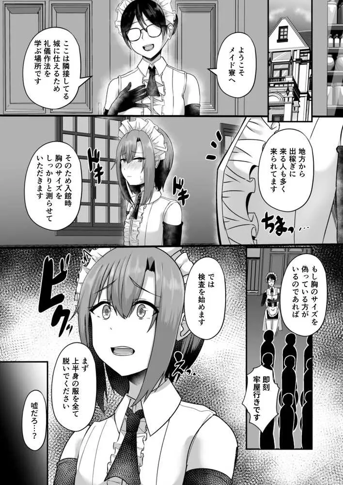 貧乳ユートピアの隠れ巨乳2 〜禁制爆乳バレから始まる王子専属Wメイド種付け教育〜 - ページ14