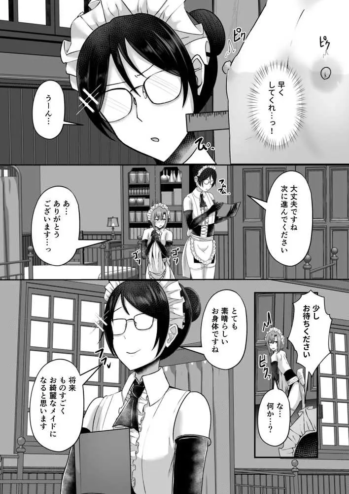 貧乳ユートピアの隠れ巨乳2 〜禁制爆乳バレから始まる王子専属Wメイド種付け教育〜 - ページ15