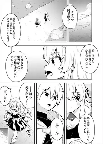 姫と護衛は冒険者1 - サンプル4