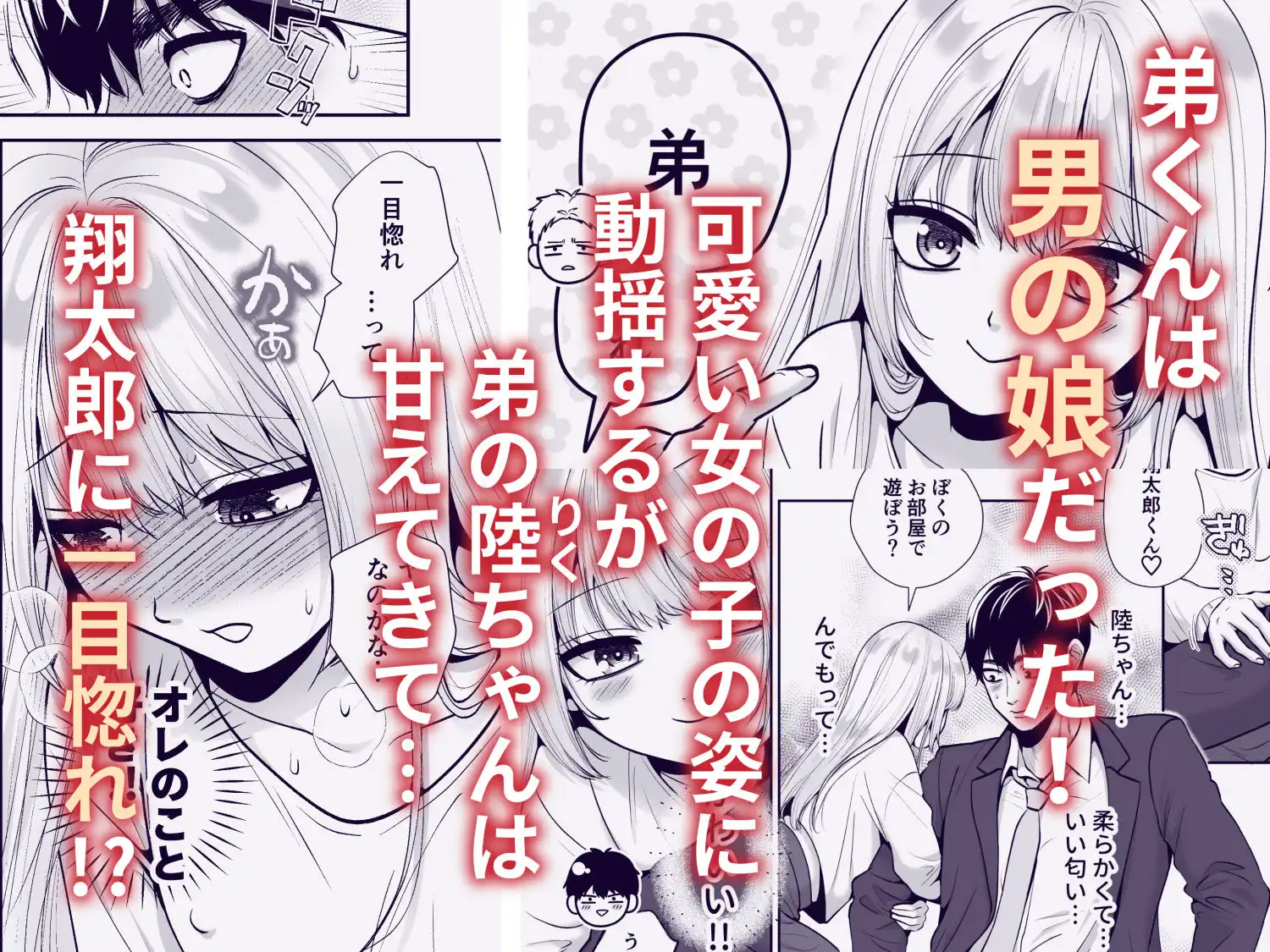 もらった弟くんは雑魚乳首の男の娘でした