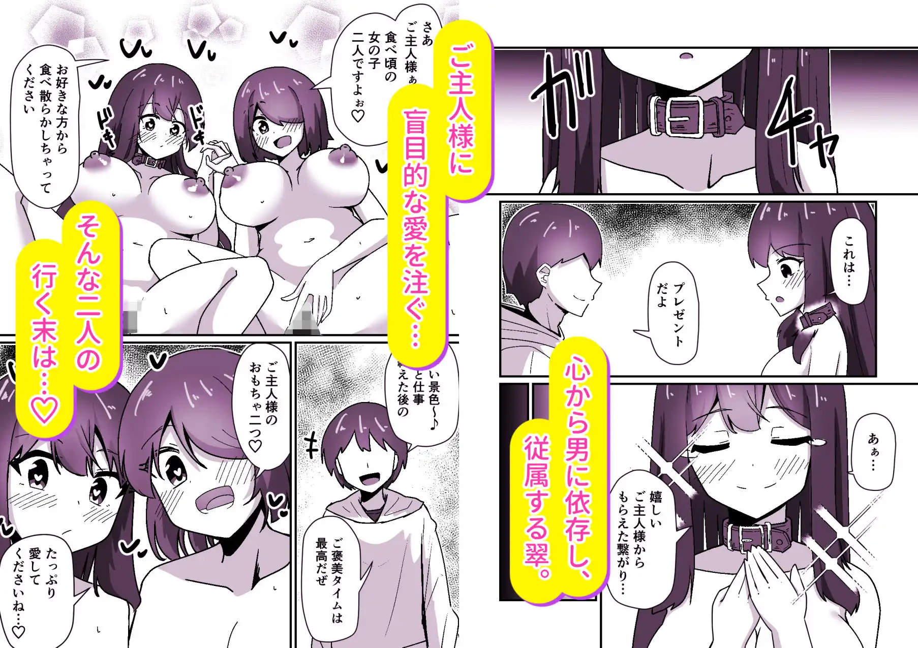 正義の探偵姉妹は催●奴●になりました。 - サンプル5
