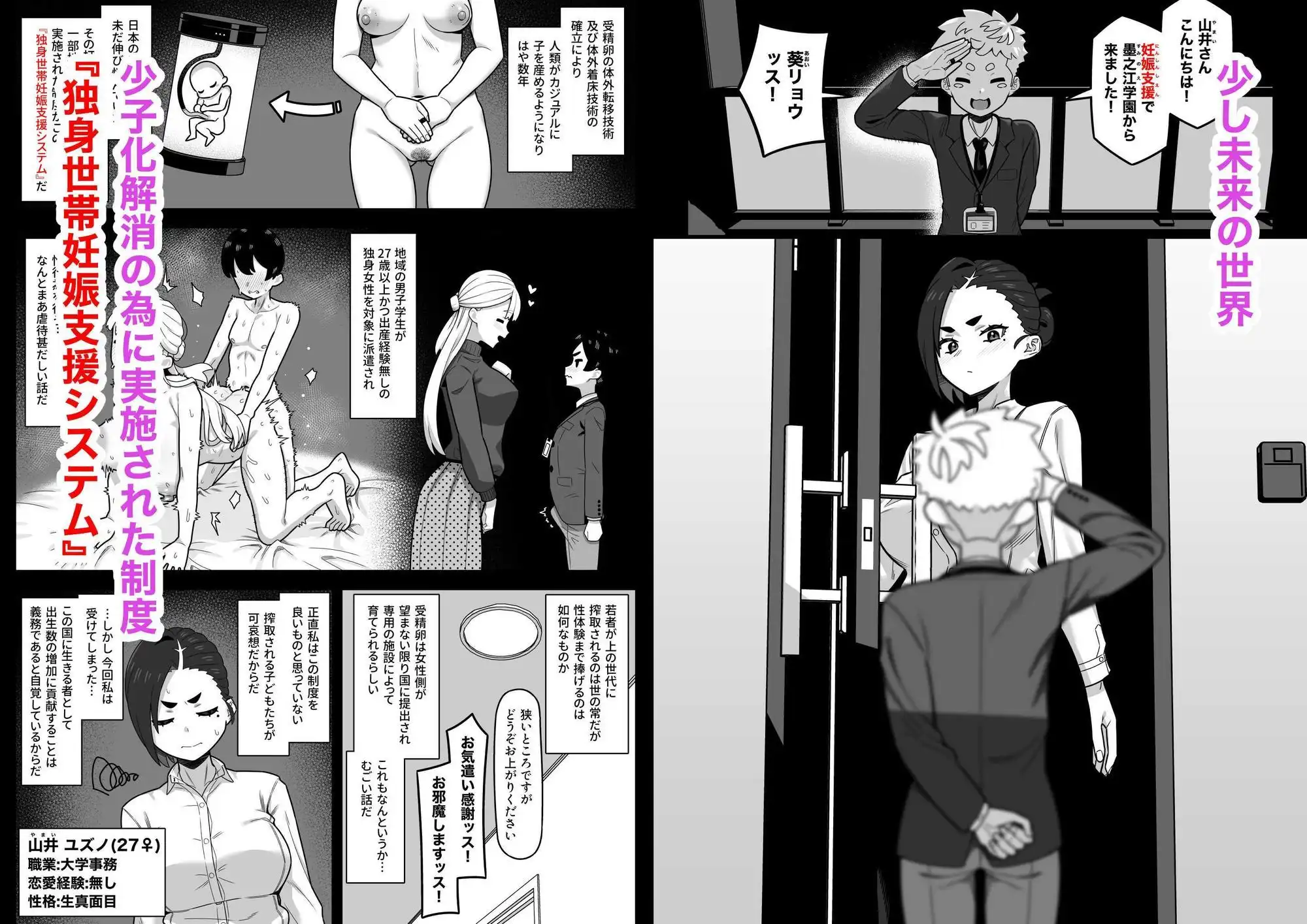 独身世帯妊娠支援システム - サンプル1