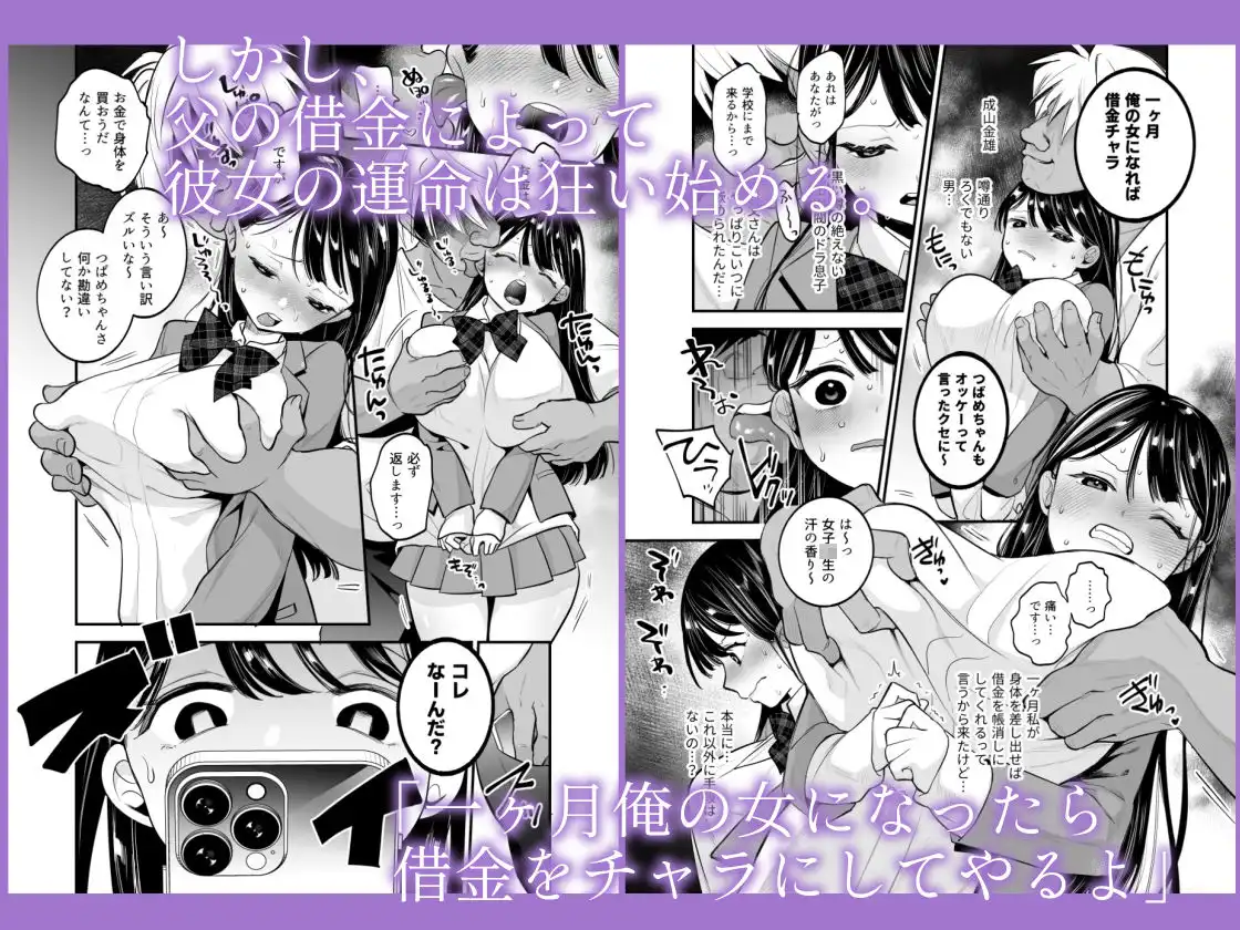 つばめちゃん墜落日記 〜一ヶ月奴●契約〜 - サンプル2